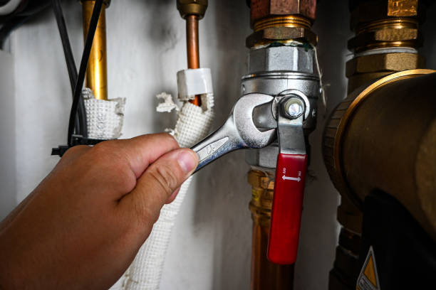 Best Sprinkler Systems  in La Conner, WA